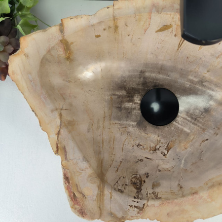 Каменная раковина из окаменелого дерева OD-04789 (46*31*15) 0174 из натурального камня