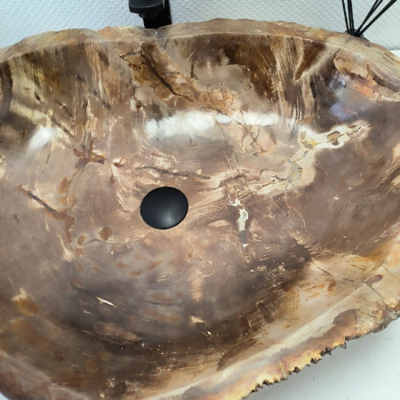 Раковина из окаменелого дерева Fossil Basin OD-02379 (69*52*15) 0090