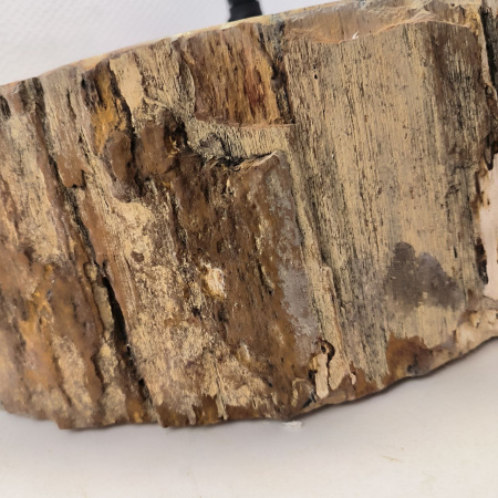 Раковина из окаменелого дерева Fossil Basin OD-02492 (57*47*16) 0088