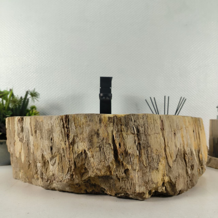 Каменная раковина из окаменелого дерева OD-04672 (55*39*16) 0176 из натурального камня