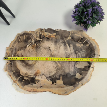 Набор из окаменелого дерева 4 предм Fossil Set NF-03066 поднос 30см*44см