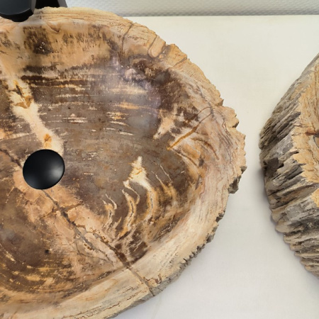 Раковина из окаменелого дерева ПАРА!! Fossil Basin OD-02335 (56*49*16) 0092