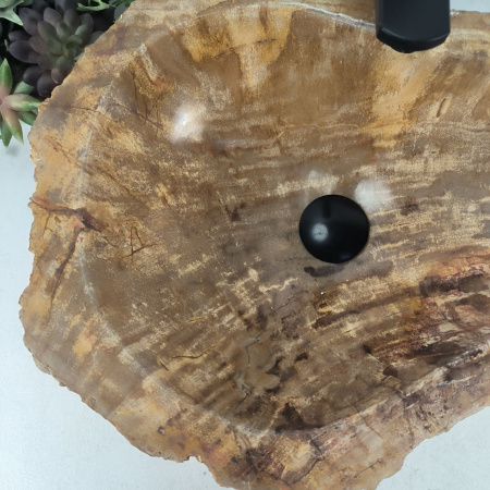 Каменная раковина из окаменелого дерева OD-04681 (54*40*15) 0176 из натурального камня