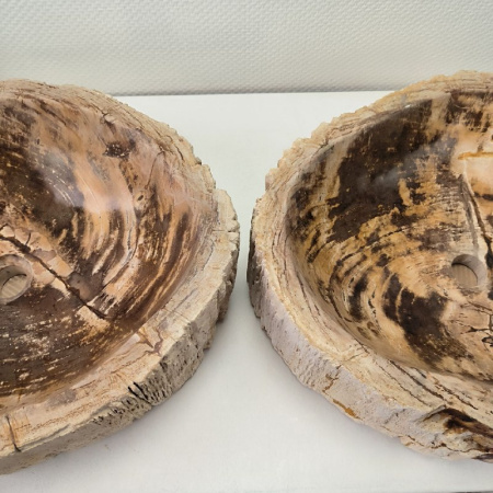 Раковина из окаменелого дерева ПАРА!! Fossil Basin OD-02099 (57*46*16) 0092