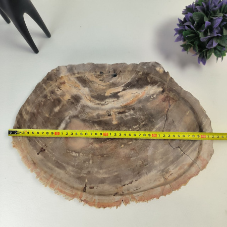 Набор из окаменелого дерева 4 предм Fossil Set NF-03065 поднос 30см*42см