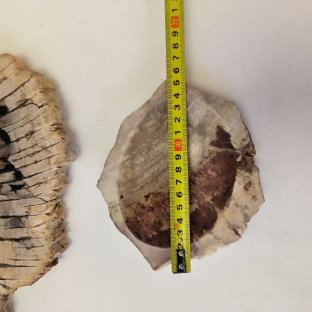 Набор из окаменелого дерева 4 предм Fossil Set NF-03291 поднос 149 