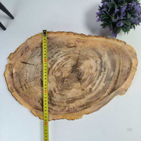 Набор из окаменелого дерева 4 предм Fossil Set NF-03062 поднос 29см*43см
