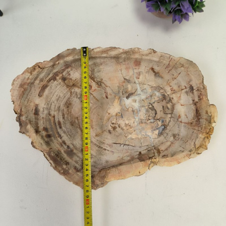 Набор из окаменелого дерева 3 предм Fossil Set NF-03079 поднос 28см*41см
