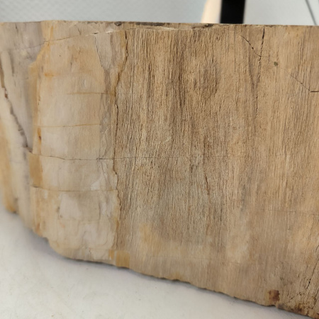 Раковина из окаменелого дерева Fossil Basin OD-02520 (53*47*15) 0089