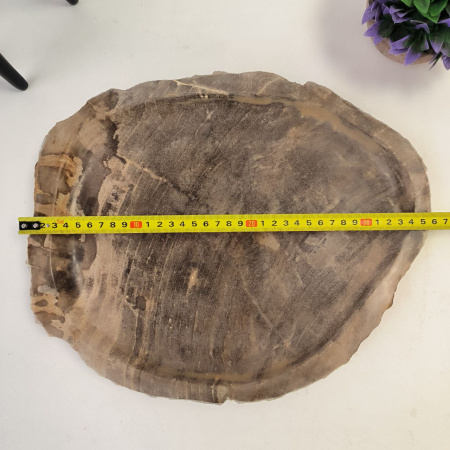Набор из окаменелого дерева 4 предм Fossil Set NF-02862 поднос 30см*36см