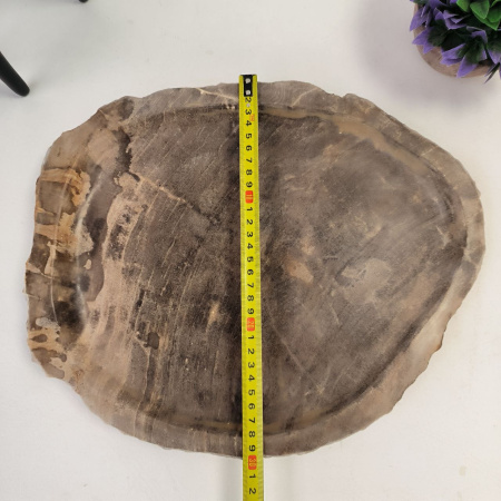 Набор из окаменелого дерева 4 предм Fossil Set NF-02862 поднос 30см*36см