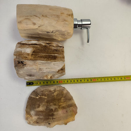 Набор из окаменелого дерева 4 предм Fossil Set NF-02856 поднос 34см*40см