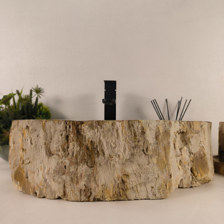 Каменная раковина из окаменелого дерева OD-04756 (54*40*15) 0176 из натурального камня