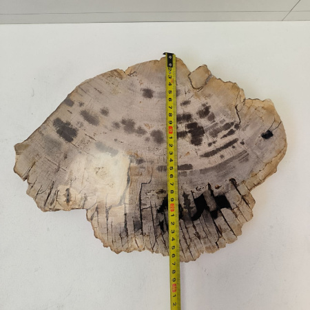 Набор из окаменелого дерева 4 предм Fossil Set NF-03291 поднос 149 