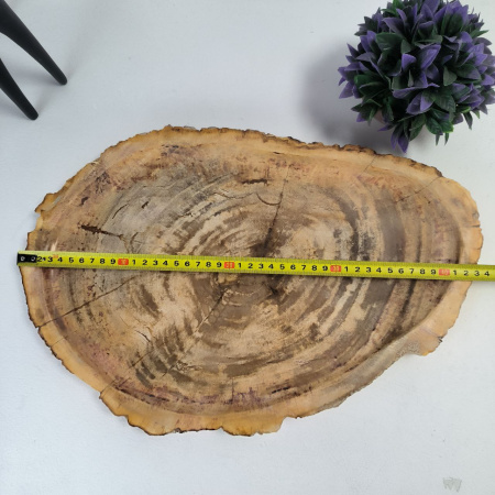 Набор из окаменелого дерева 4 предм Fossil Set NF-03062 поднос 29см*43см