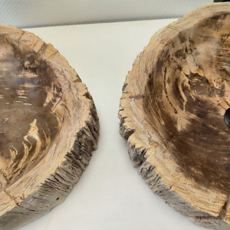 Раковина из окаменелого дерева ПАРА!! Fossil Basin OD-02335 (56*49*16) 0092
