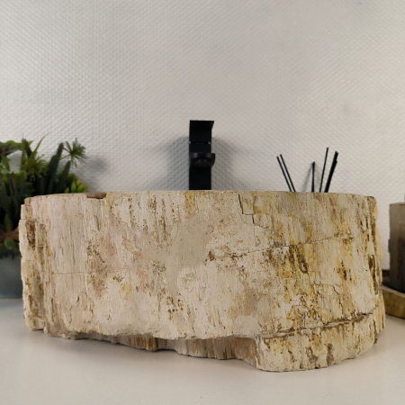 Каменная раковина из окаменелого дерева OD-04795 (45*38*16) 0175 из натурального камня