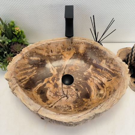 Раковина из окаменелого дерева Fossil Basin OD-02502 (58*45*15) 0092