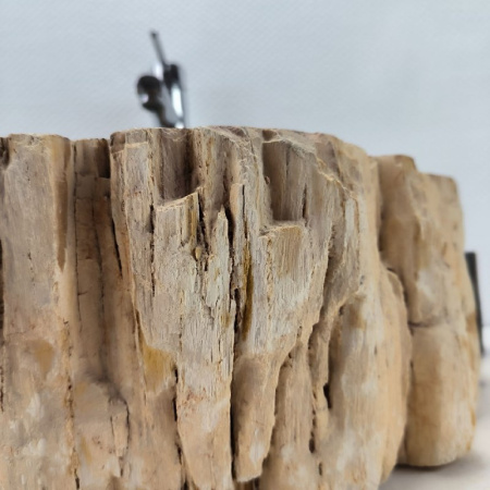 Раковина из окаменелого дерева Fossil Basin OD-02124 (46*41*16) 0088