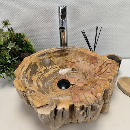 Раковина из окаменелого дерева Fossil Basin OD-02124 (46*41*16) 0088