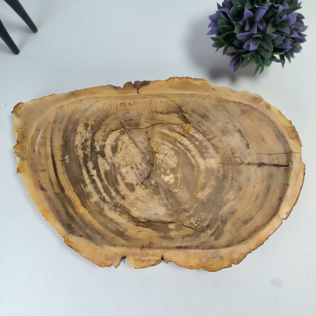 Набор из окаменелого дерева 4 предм Fossil Set NF-03067 поднос 29см*44см