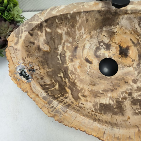Раковина из окаменелого дерева Fossil Basin OD-02514 (58*40*16) 0089
