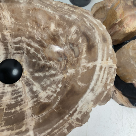 Каменная раковина из окаменелого дерева OD-04492 (44*32*15) 0175 из натурального камня