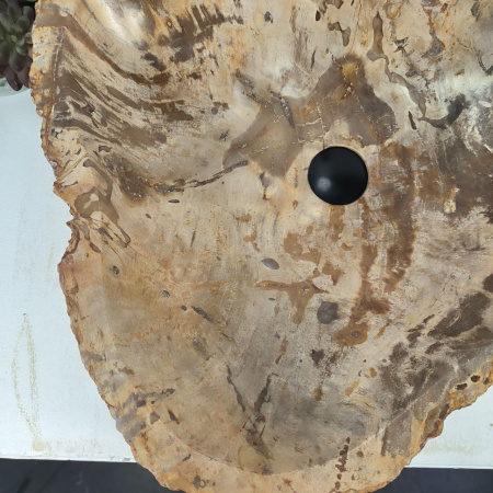 Каменная раковина из окаменелого дерева OD-04779 (62*53*16) 0177 из натурального камня