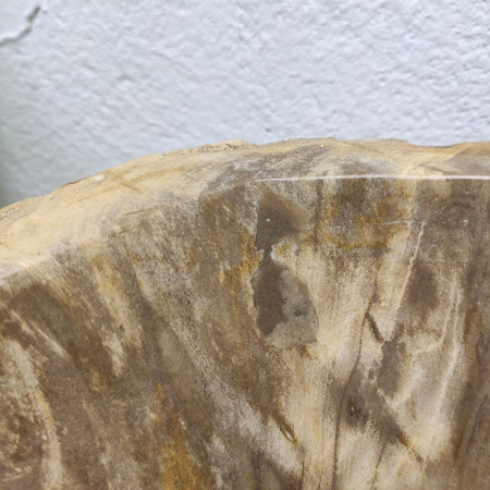 Раковина из окаменелого дерева Fossil Basin OD-01250 (59*50*16) 