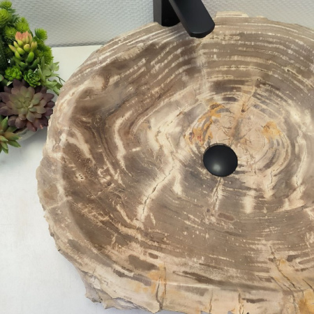 Раковина из окаменелого дерева Fossil Basin OD-02491 (64*53*15) 0090