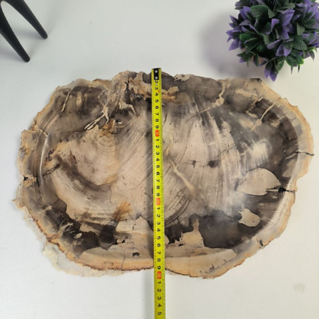 Набор из окаменелого дерева 4 предм Fossil Set NF-03066 поднос 30см*44см