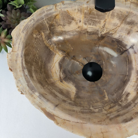 Каменная раковина из окаменелого дерева OD-04795 (45*38*16) 0175 из натурального камня