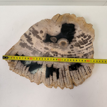 Набор из окаменелого дерева 4 предм Fossil Set NF-03297 поднос 149 