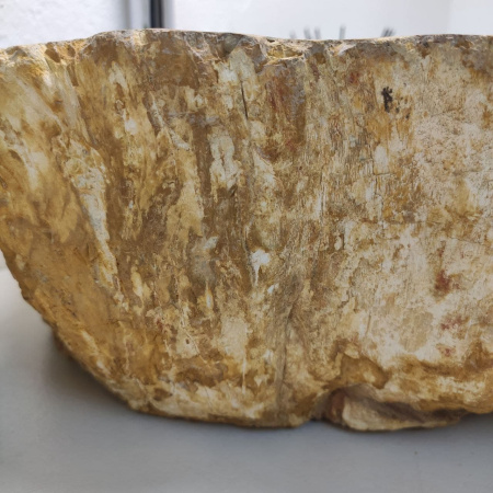 Раковина из окаменелого дерева Fossil Basin OD-01250 (59*50*16) 