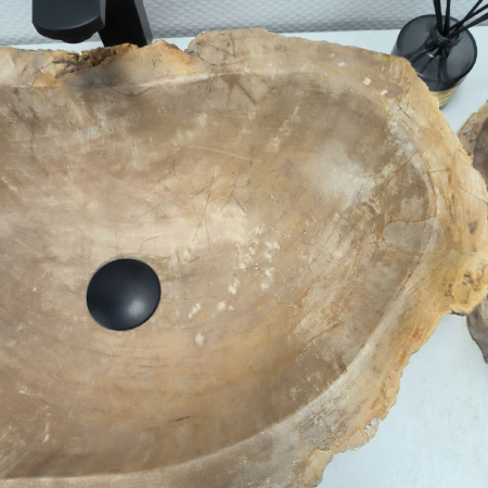 Раковина из окаменелого дерева Fossil Basin OD-02523 (58*36*15) 0089