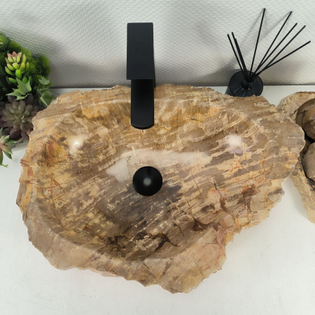 Каменная раковина из окаменелого дерева OD-04756 (54*40*15) 0176 из натурального камня