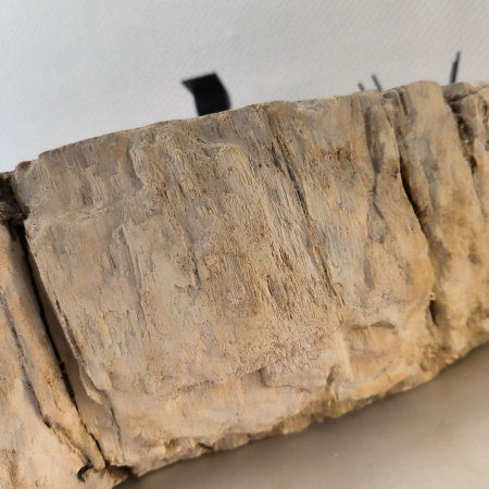 Раковина из окаменелого дерева Fossil Basin OD-02437 (45*43*15) 0089